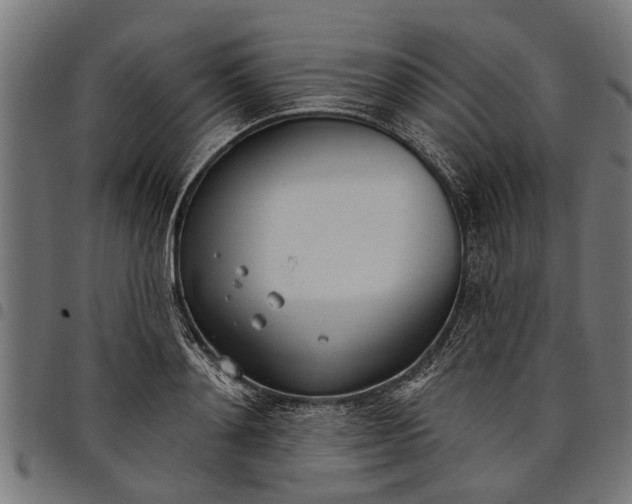 X0000097810892200803281056