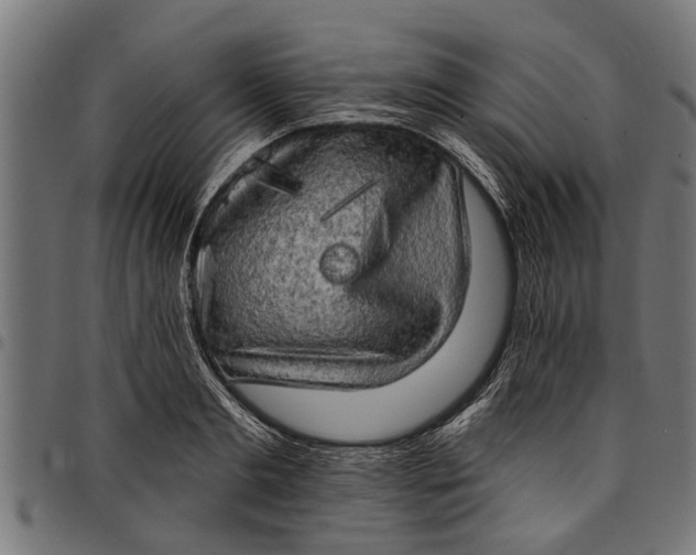 X0000097810893200803281056