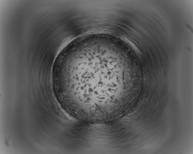 X0000097810894200803281056