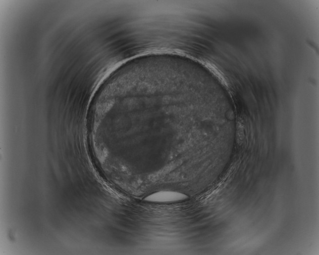 X0000097810895200803281056