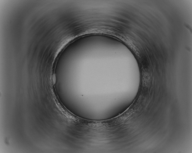 X0000097810896200803281056