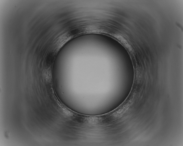 X0000097810897200803281056