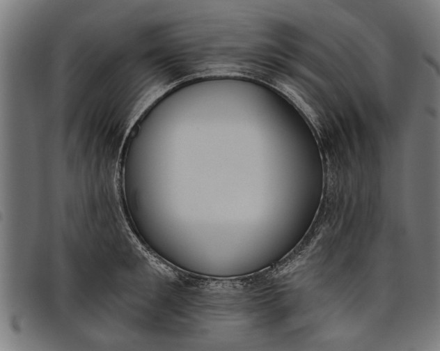 X0000097810901200803281055