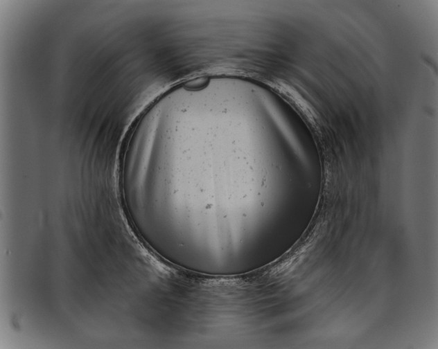 X0000097810902200803281055