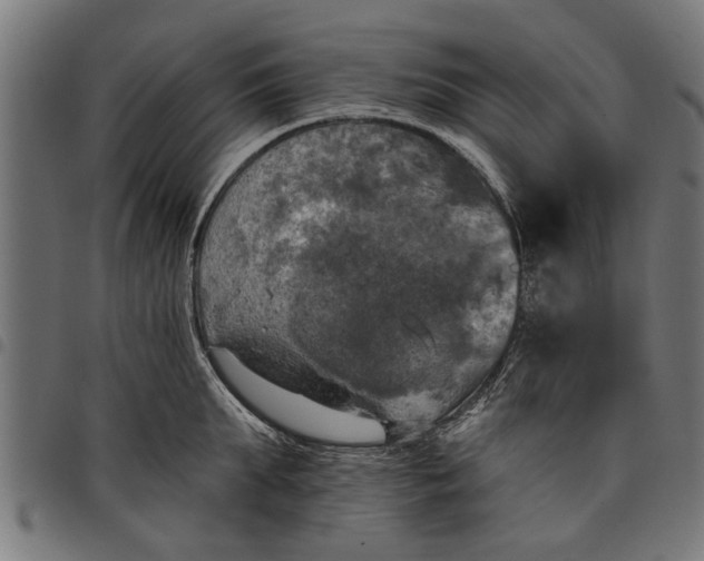 X0000097810903200803281055