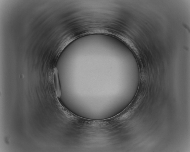 X0000097810905200803281055