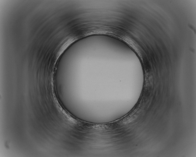 X0000097810906200803281055