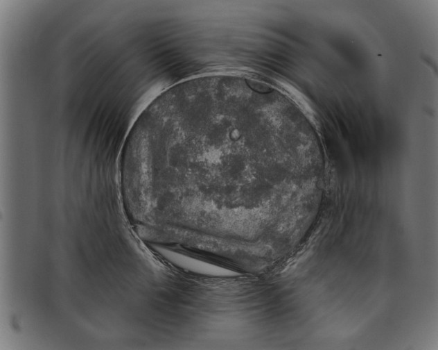 X0000097810907200803281055