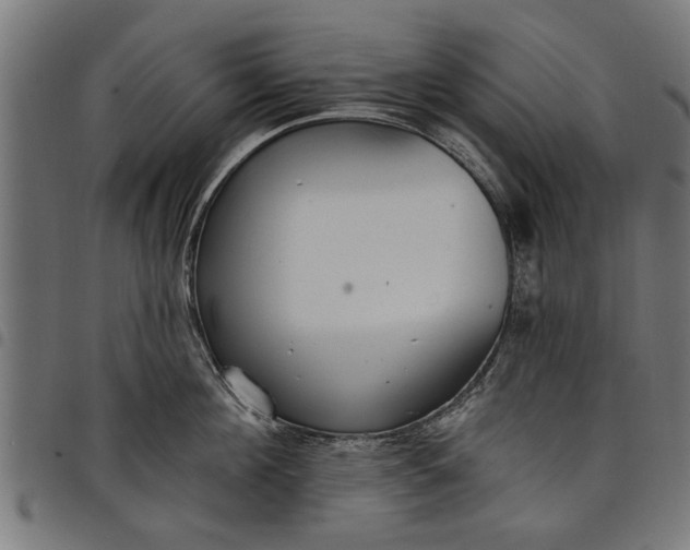 X0000097810908200803281055