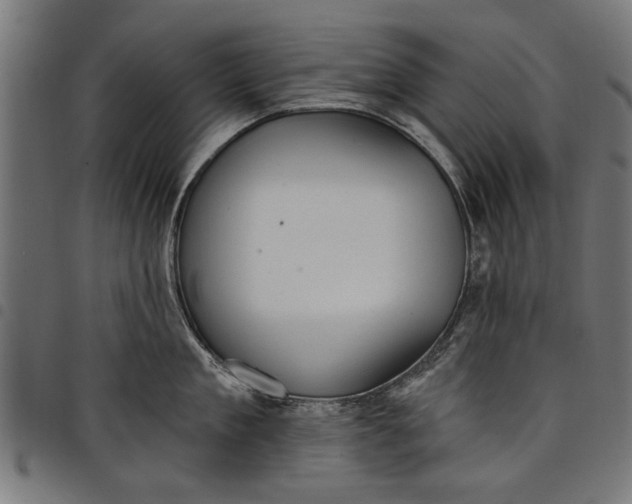 X0000097810909200803281055