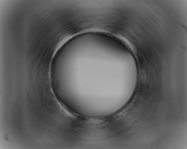 X0000097810910200803281055