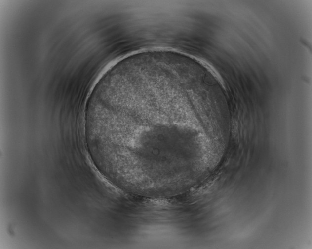 X0000097810911200803281055