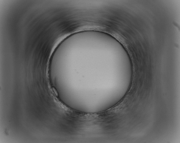 X0000097810912200803281055