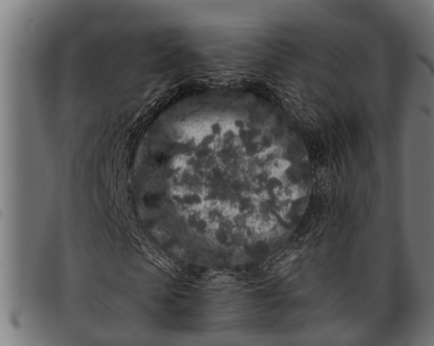 X0000097810913200803281055