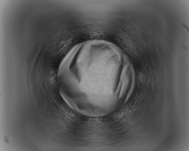 X0000097810914200803281055