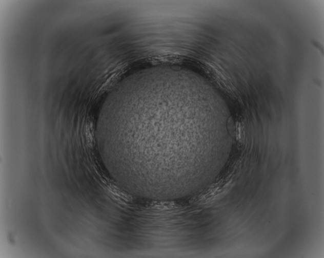 X0000097810915200803281055