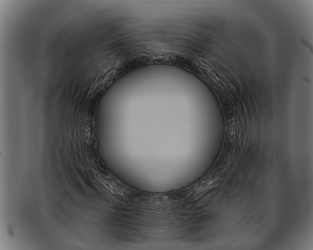 X0000097810916200803281055