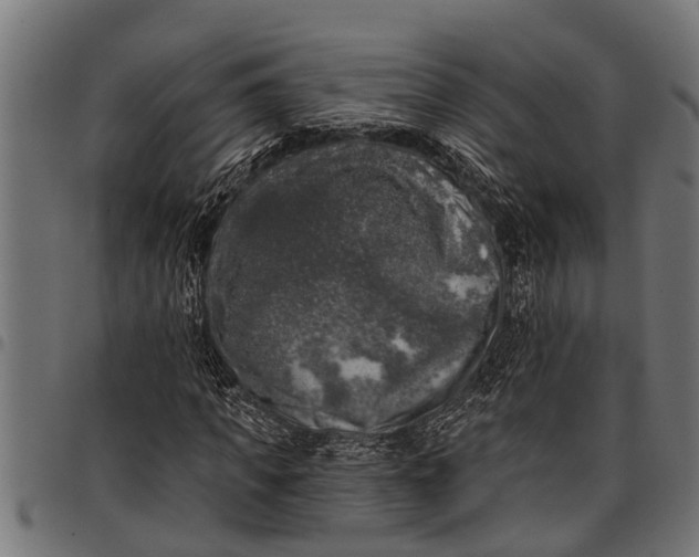 X0000097810917200803281055