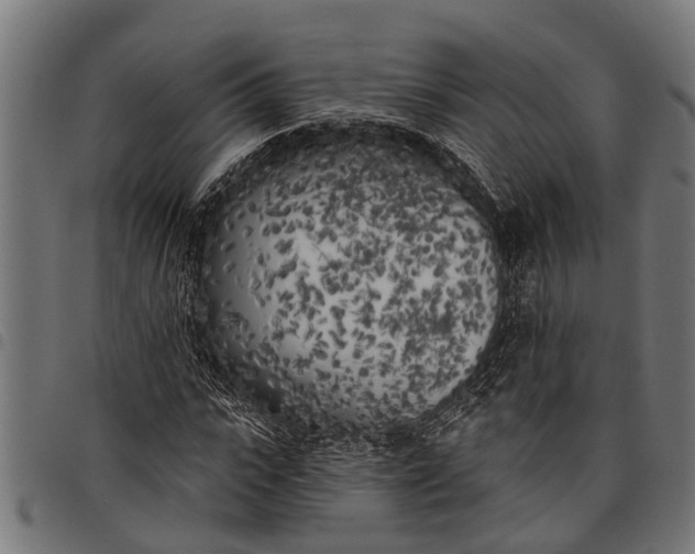 X0000097810919200803281055