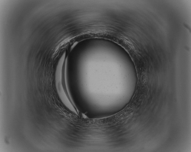 X0000097810920200803281055