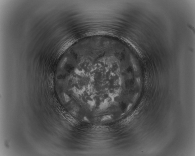 X0000097810921200803281055