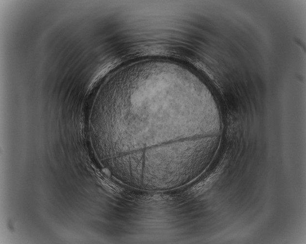 X0000097810922200803281055