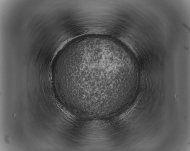 X0000097810923200803281055