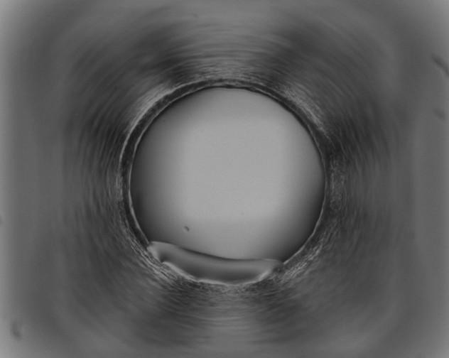 X0000097810924200803281055