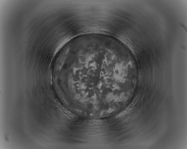 X0000097810925200803281055