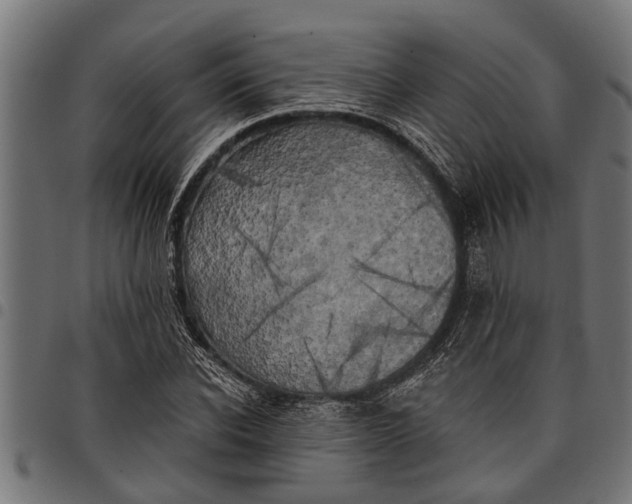 X0000097810926200803281055