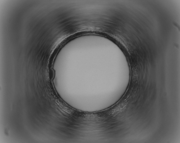 X0000097810927200803281055