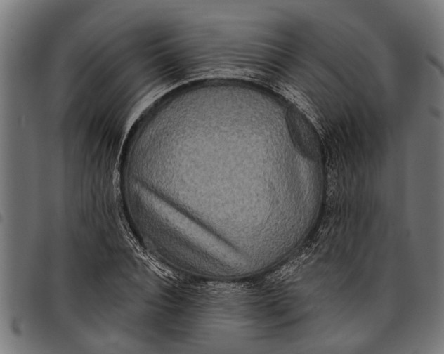 X0000097810928200803281055