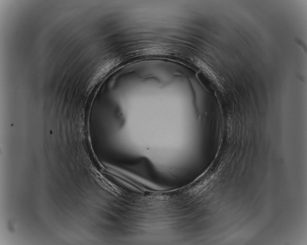 X0000097810930200803281055