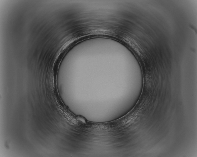 X0000097810931200803281055