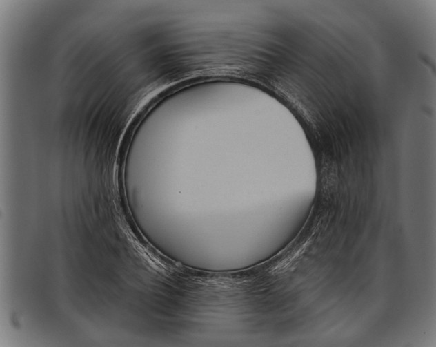 X0000097810932200803281055