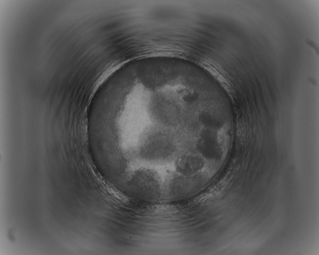 X0000097810933200803281055