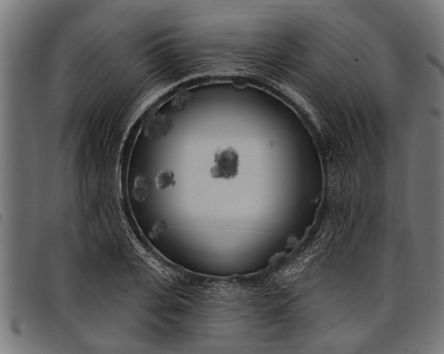 X0000097810935200803281055