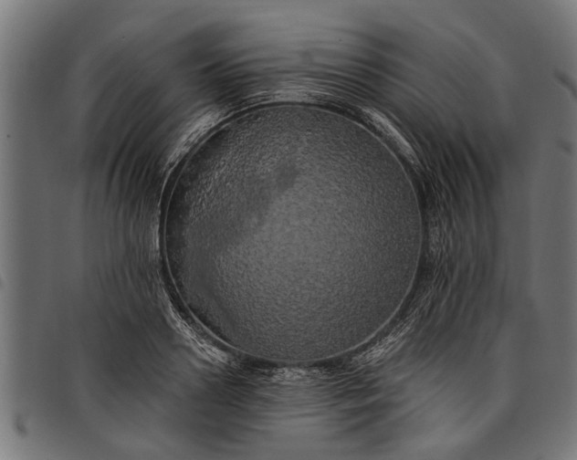 X0000097810938200803281055