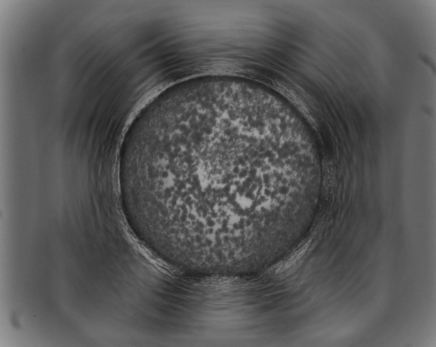 X0000097810939200803281055