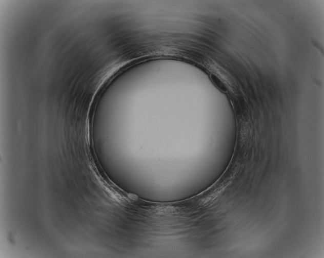 X0000097810940200803281055