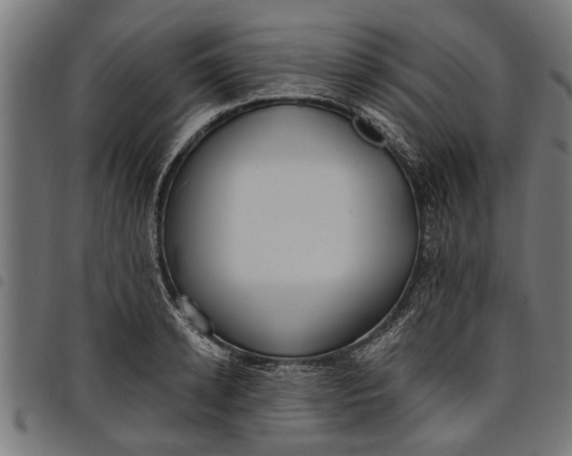 X0000097810942200803281055