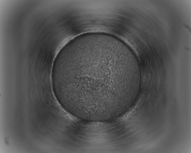 X0000097810943200803281055