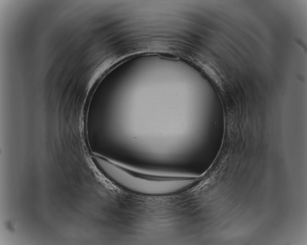 X0000097810944200803281055