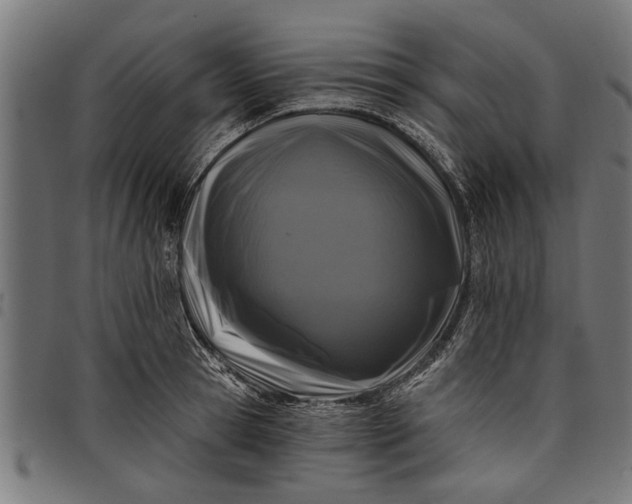 X0000097810945200803281055