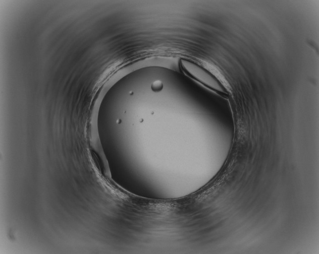 X0000097810946200803281055