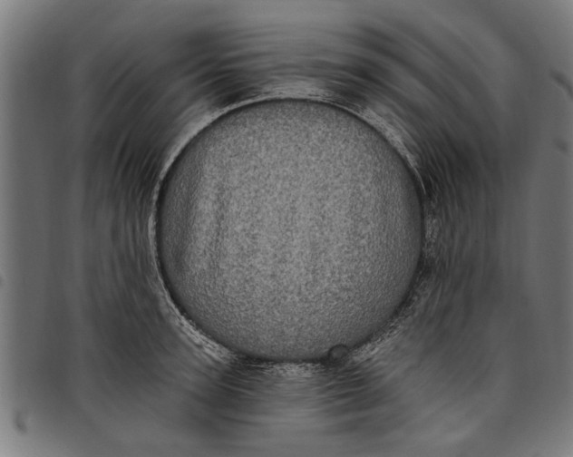 X0000097810947200803281055