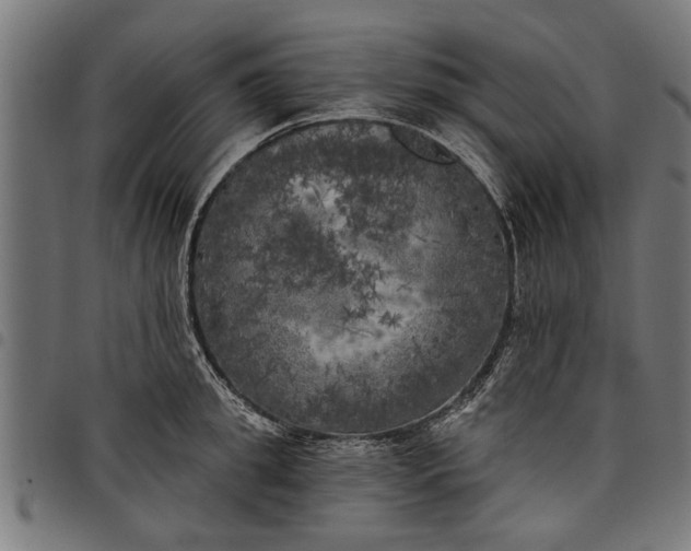 X0000097810949200803281055