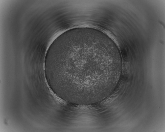 X0000097810951200803281055