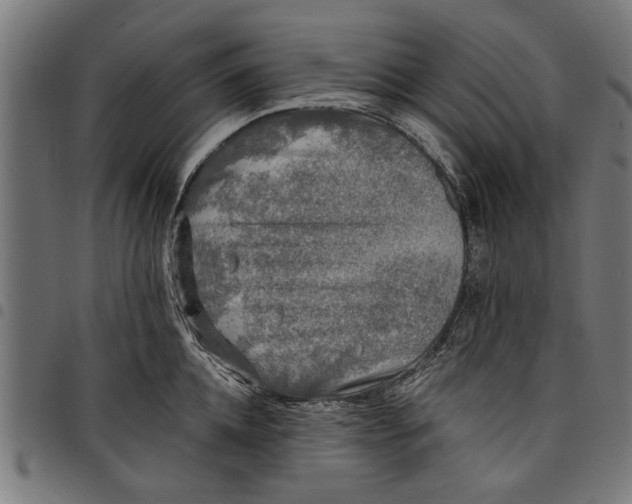 X0000097810952200803281055