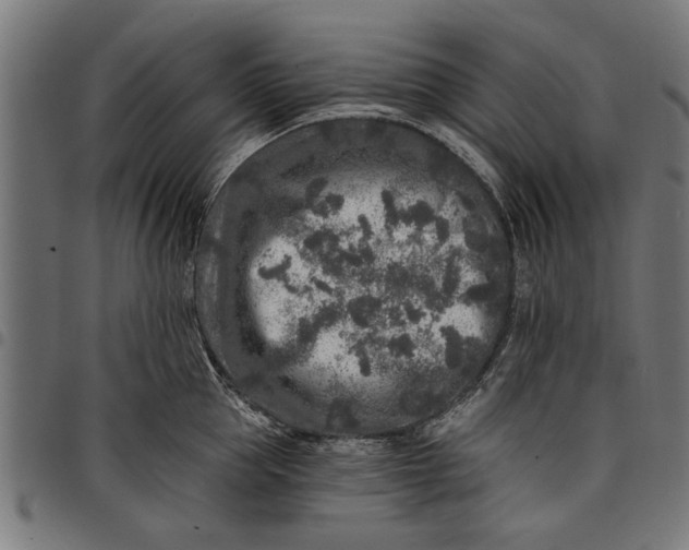 X0000097810953200803281055